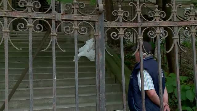 Ancheta la Cluj, dupa ce un tanar s-ar fi sinucis dupa ce a fost la festivalul UNTOLD. Ce avea baiatul la mana