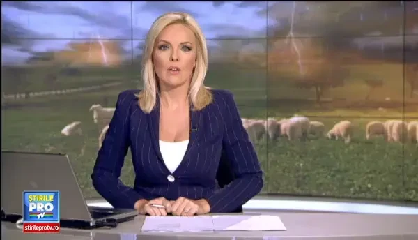 120 de oi au fost ucise de fulgere, la o stana din Muntii Bucegi. Ciobanii au cerut ajutorul salvamontistilor