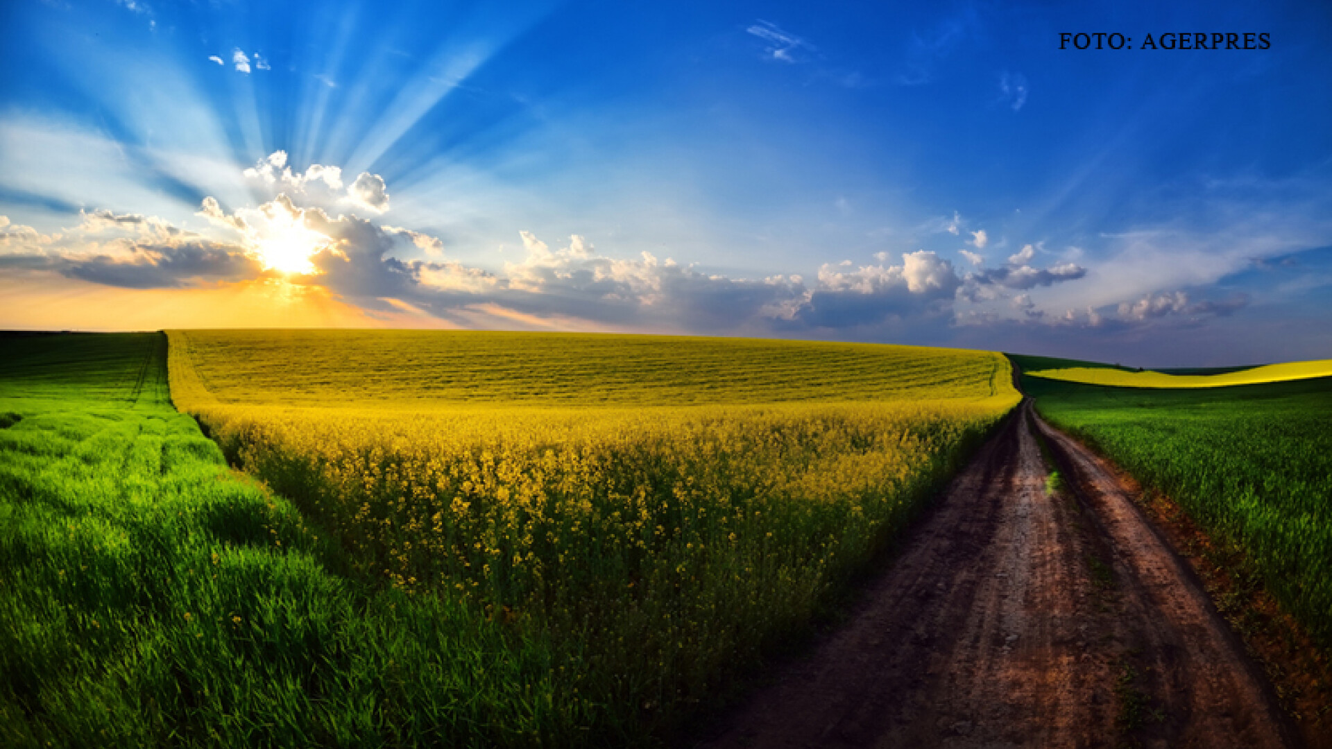 Legatura dintre paralela 45 si gustul fructelor si legumelor romanesti. De ce faptul ca suntem saraci ajuta agricultura