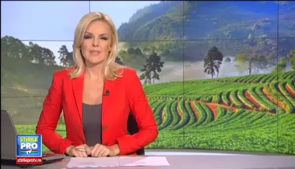 Locul din Romania in care se gasesc cele mai bune capsuni, cultivate la 1.200 de metri altitudine. Fructele cresc toata vara