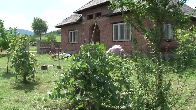 Trupul unei femei disparute acum 12 ani, cautat in Maramures cu detectorul de metale. Detaliul care ar putea rezolva cazul
