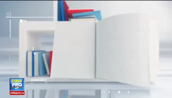 Omul care aduce cartea: Victor Ieronim Stoichita, Cum se savureaza un tablou