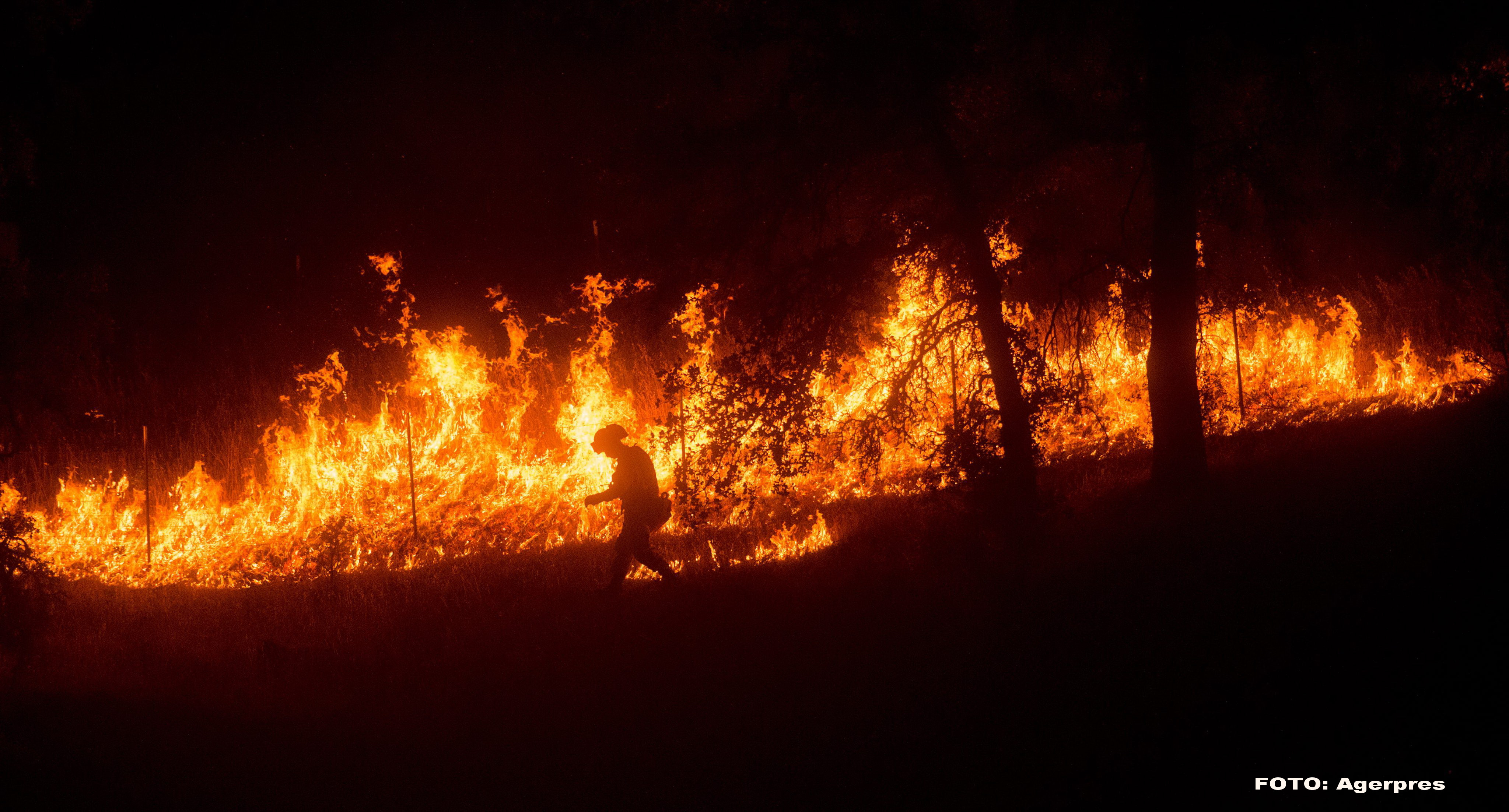 GALERIE FOTO cu incendiul "fara precedent" din California. Flacarile vegetatiei uscate inainteaza rapid spre zonele locuite
