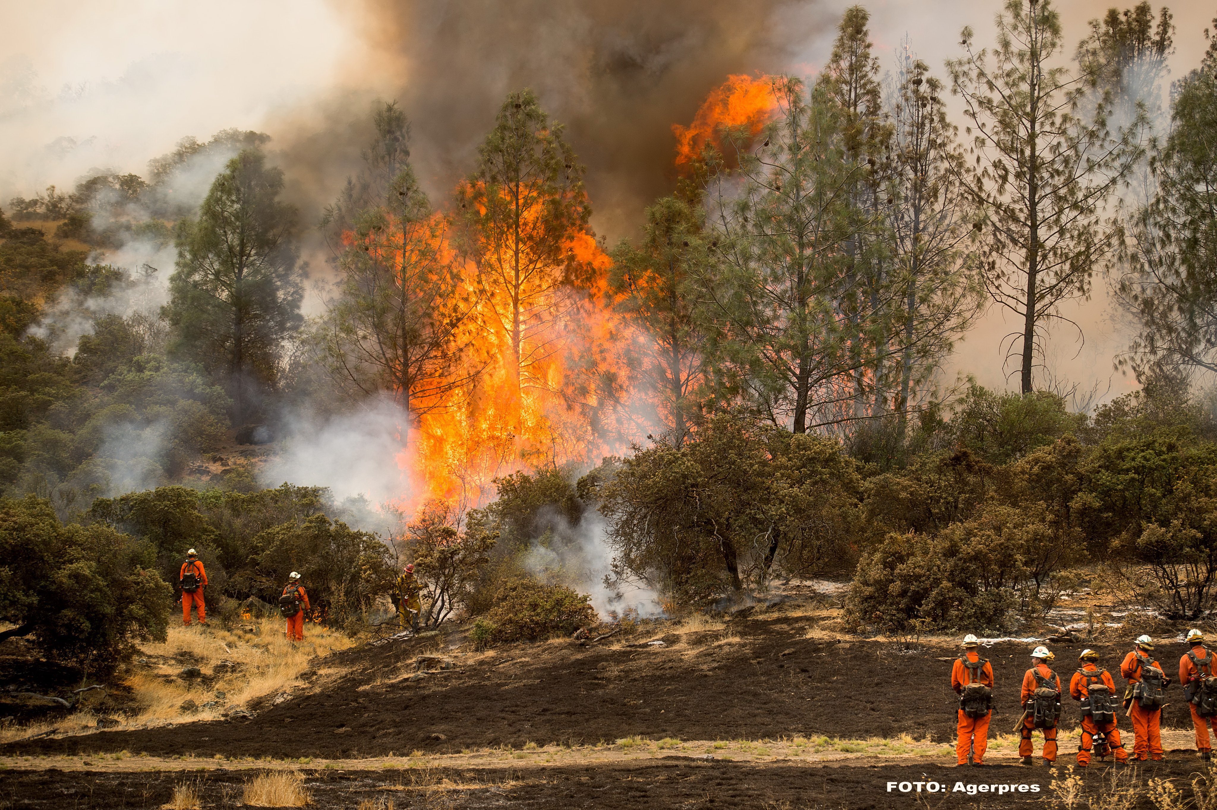 Incendiu in California - AGERPRES