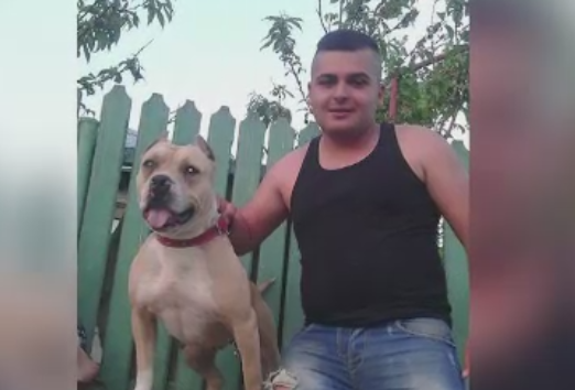 Tanar din Dambovita, anchetat dupa ce a postat pe Facebook antrenamente dure cu cainii sai. Cum se apara acesta