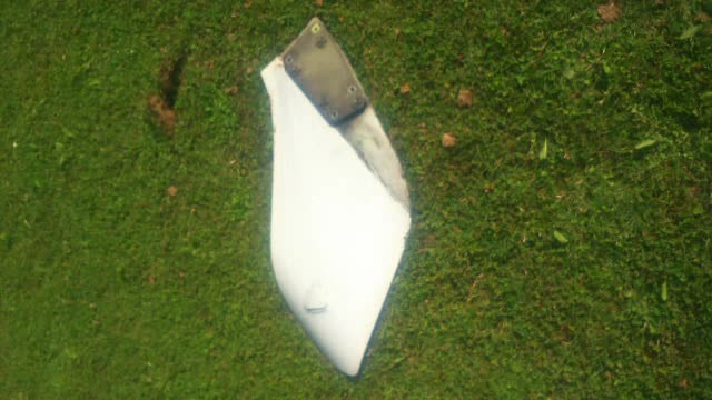 O femeie din Belgia a gasit in gradina o bucata de metal de 5 kilograme. Cand si-a dat seama ce este, a ramas cu gura cascata