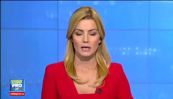 Dupa 24 de ore de cautari, pilotul de planor nu a fost inca gasit. Ancheta privind ora tarzie la care s-a dat prima alerta