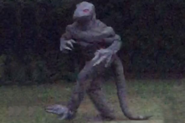 Fotografia care a pus pe jar internetul in SUA. "Creatura" surprinsa de o femeie din Carolina de Sud