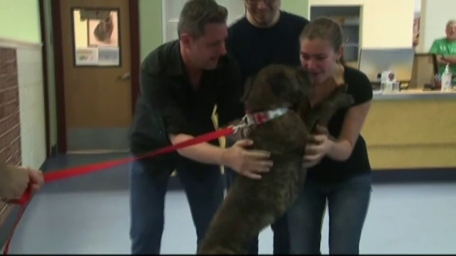 Un caine si-a regasit stapanii dupa 9 ani. Cum a fost pierdut Boozer si ce a facut in tot acest timp