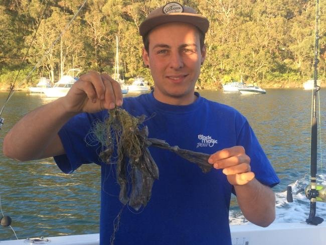 balena Australia
