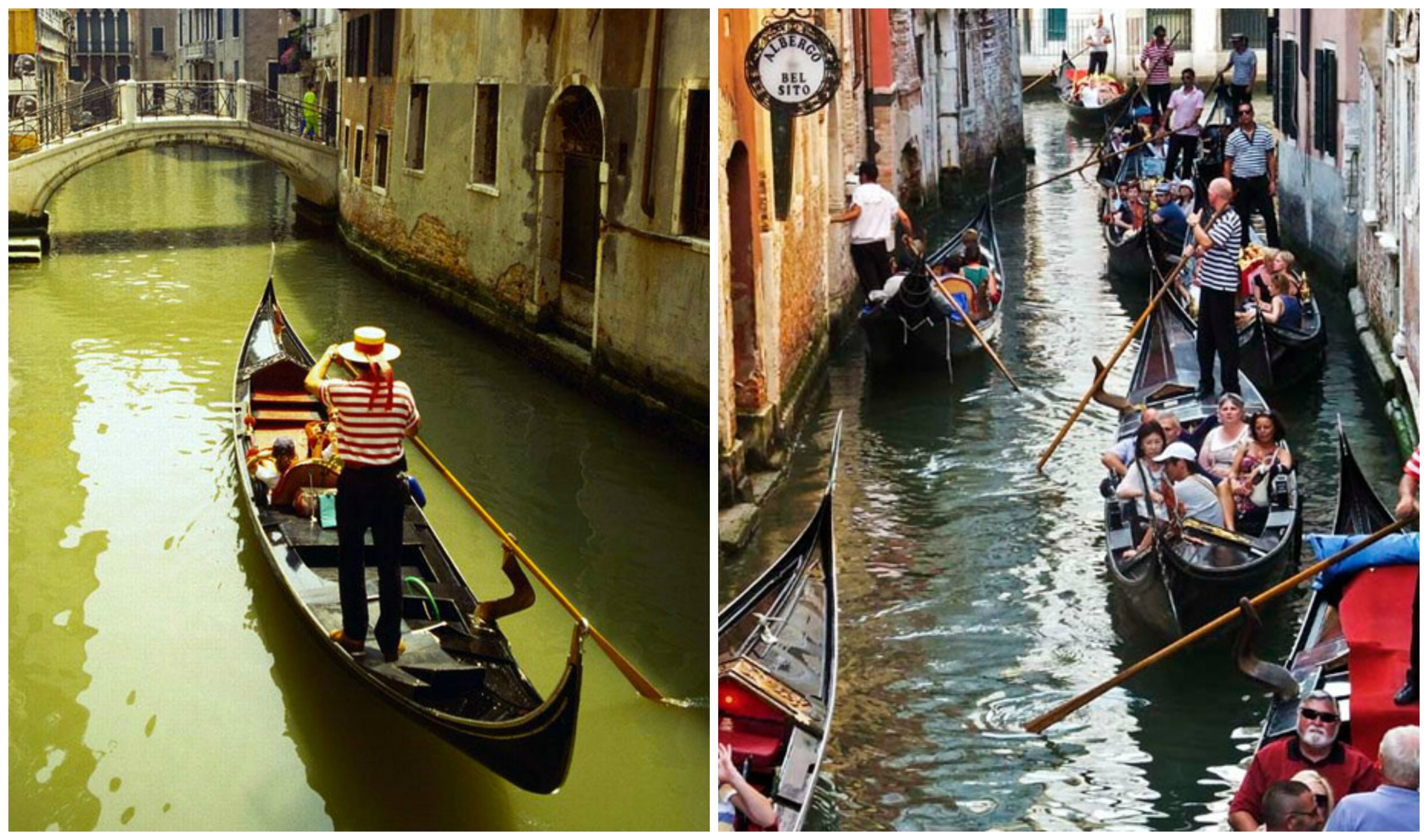 Venetia