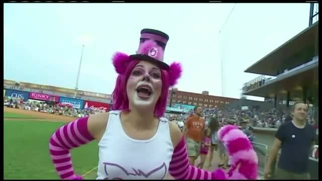 Adunare inedita in SUA. 13.000 de iubitori de pisici au participat la un festival al filmelor cu feline