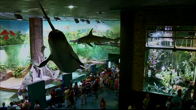 Mii de creaturi marine pot fi vazute in centrul Moscovei. Rusii inaugureaza parcul acvatic Moscvarium