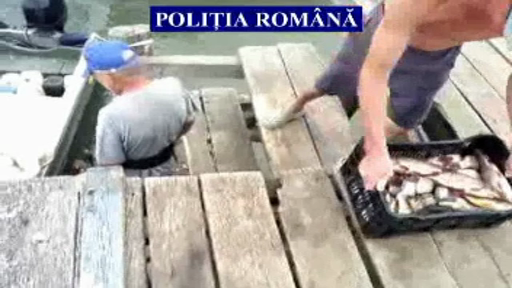 Politistii din Delta Dunarii au confiscat aproape 600 de kilograme de peste. Ce risca acum braconierii