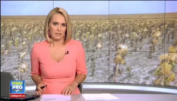 Ploile vin prea tarziu pentru a mai salva Romania de seceta. Fermierii vor fi despagubiti, preturile ar putea creste