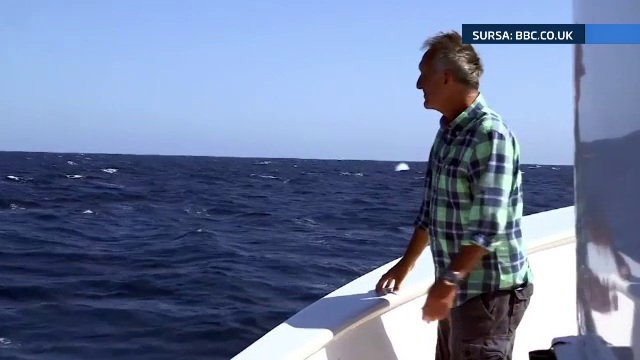 Surpriza uriasa pe care a avut-o un realizator BBC in timpul filmarii. Ce a aparut in spatele lui. VIDEO