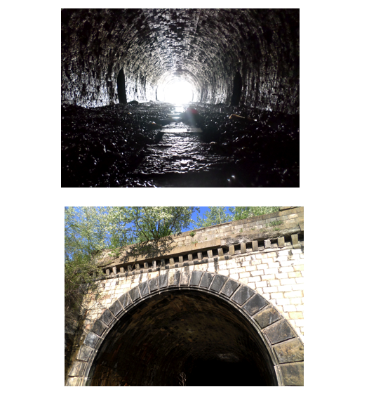 Ma intorc la tine iar si iar, Constanta albastra! :) Patru secrete de la mare: