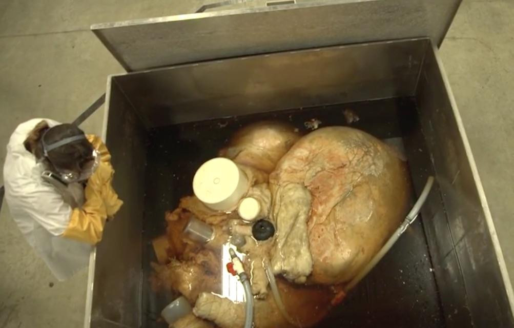 Asa arata cea mai mare inima din lume: are dimensiunile unei masini si cantareste 118 kg VIDEO