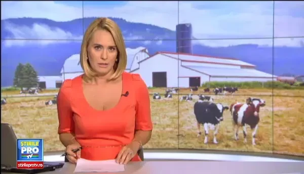 Nu am vazut atat de mult pamant nefolosit ca la voi. Un elvetian ne invata cum se fac bani unde iarba moare degeaba