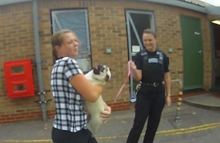 Revederea emotionanta intre o femeie si catelusa care ii fusese furata din casa. Politistii au recuperat-o de la hoti. VIDEO