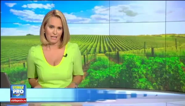 Locurile din Romania unde seceta a fost mana cereasca pentru cultivatori. De ce au o recolta-record mai buna ca oricand