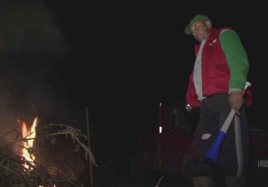 Agricultorii din judetul Bacau, terorizati de porcii mistreti care le distrug culturile. Oamenii stau de paza noaptea