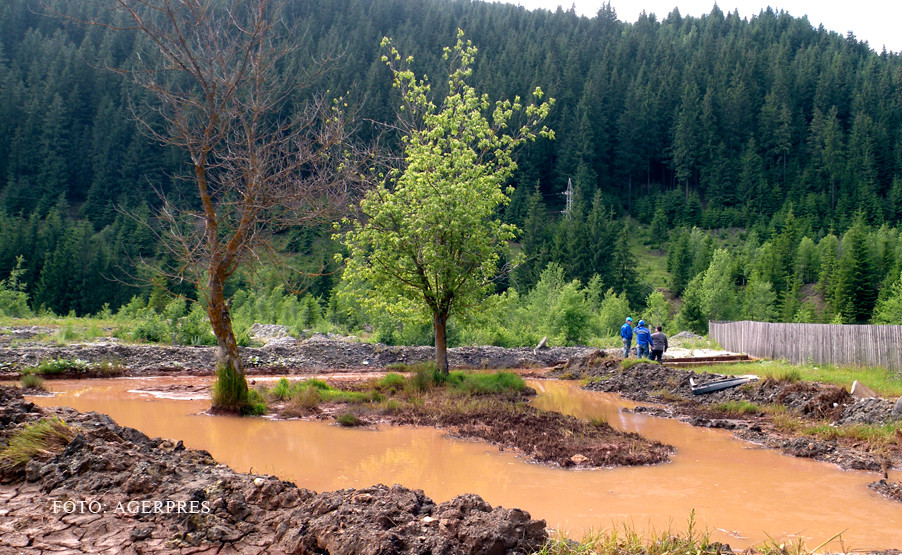 Dezastru ecologic in Bucovina. Peste un milion de litri de substante toxice au ajuns in apa unui rau