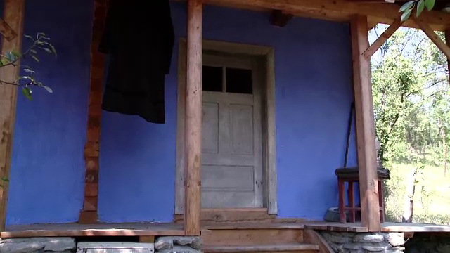 Stefan Caltia, pictor - stiri