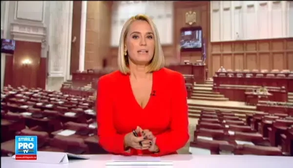 Ilie Sarbu a demisionat de la sefia grupului social-democrat din Senat. Cine este Mihai Fifor, inlocuitorul ales de PSD