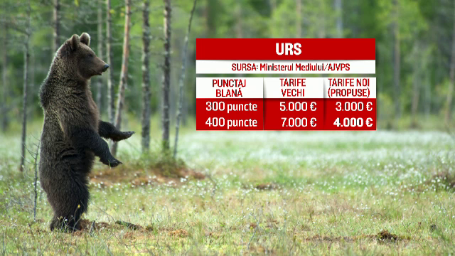 Ministerul Mediului vrea sa scada tarifele de vanatoare pentru straini. Lista de preturi care va naste controverse