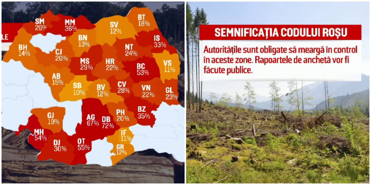COD ROSU in padurile din 28 de judete ale tarii. Harta zonelor de risc: o padure intreaga, furata de sub ochii autoritatilor