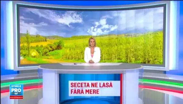 Seceta a lasat Romania fara mere: productia e de trei ori mai mica fata de anul trecut. Singurele livezi care au rezistat