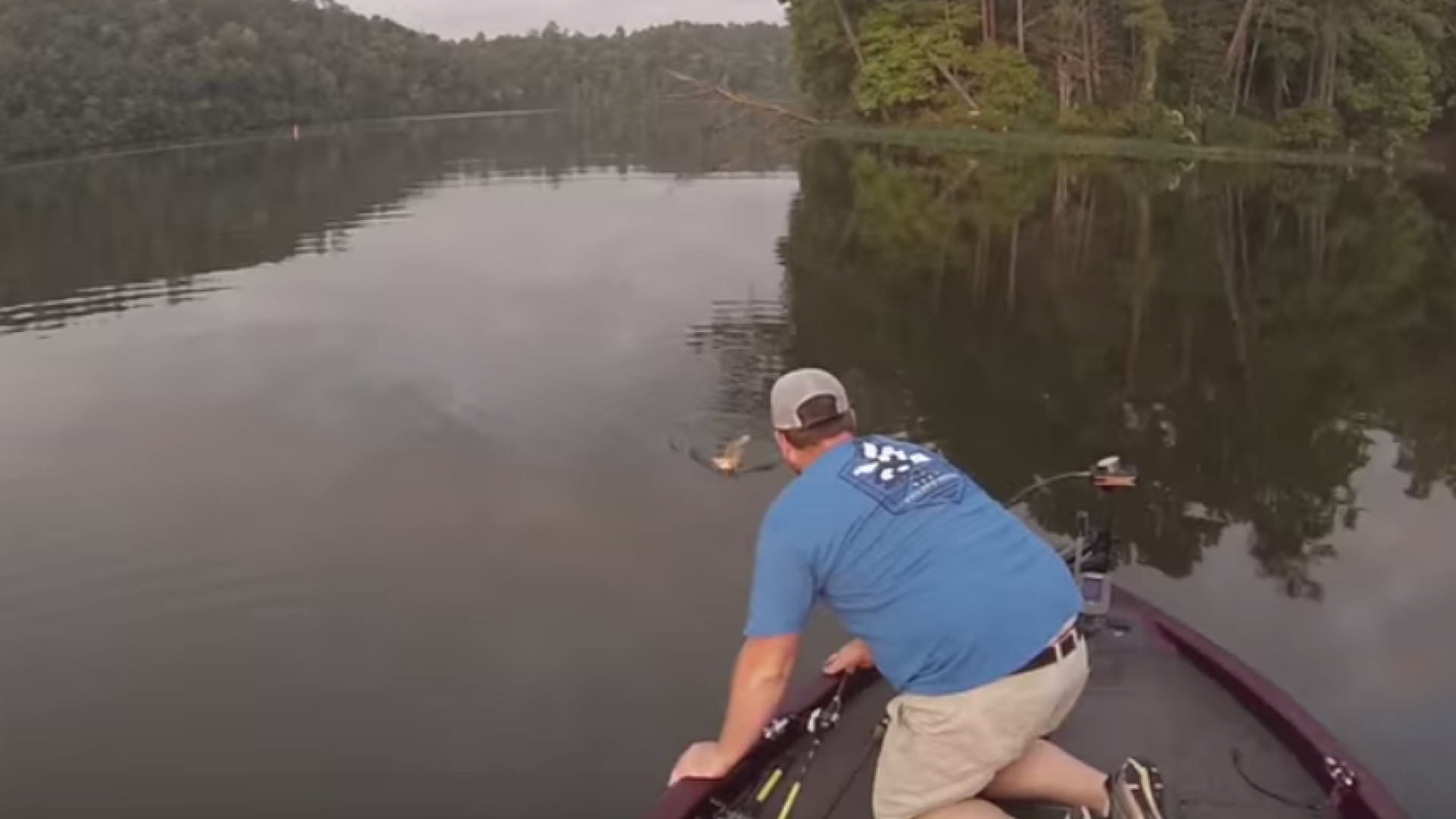 Doi americani au "pescuit" doi pui de pisica dintr-un lac. Imaginile care au strans sute de mii de vizualizari