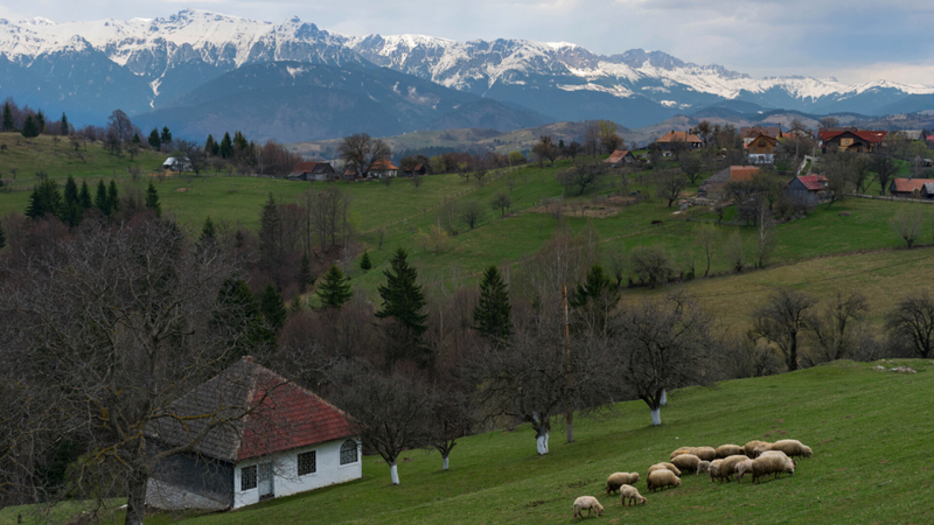 Uniunea Europeană oferă sprijin pentru zonele rurale ale României