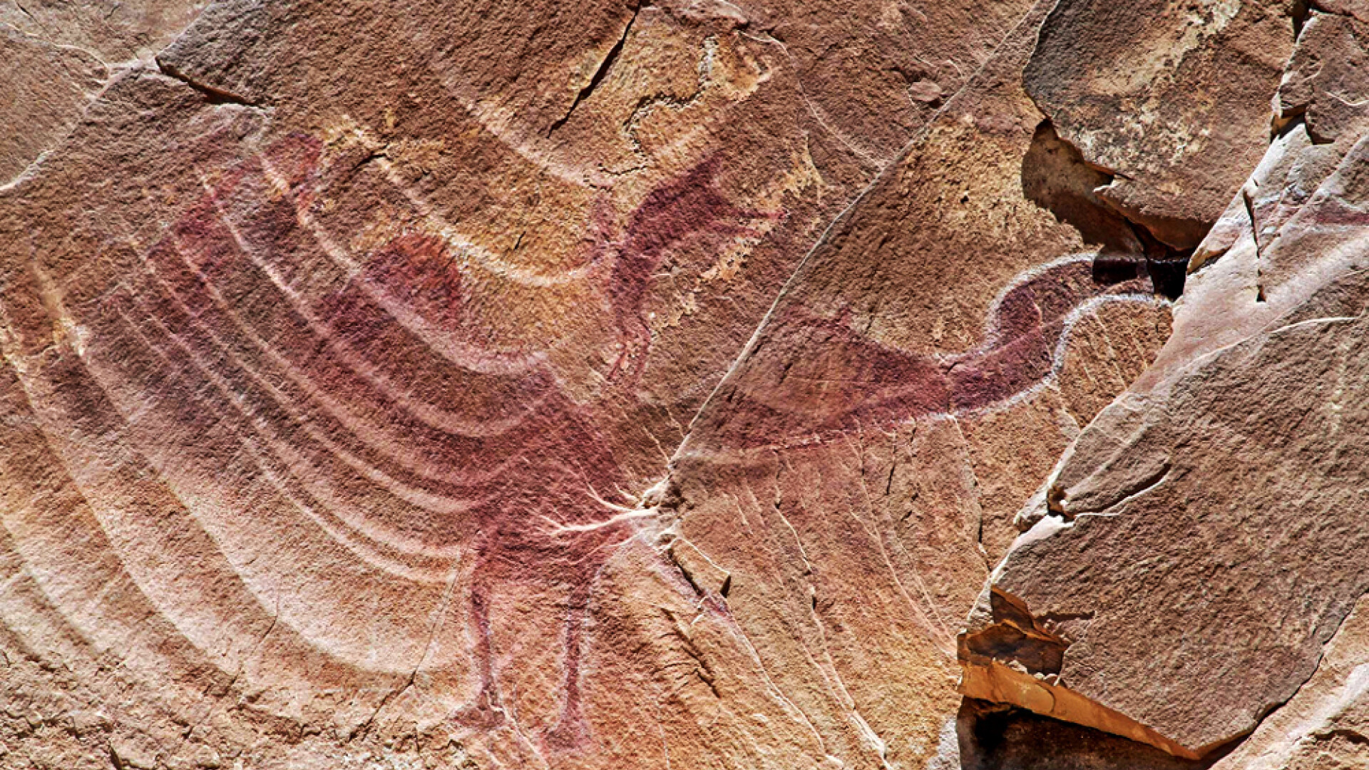 Dovada ca oamenii si dinozaurii au fost contemporani, examinata de cercetatorii britanici. Ce secret ascundea