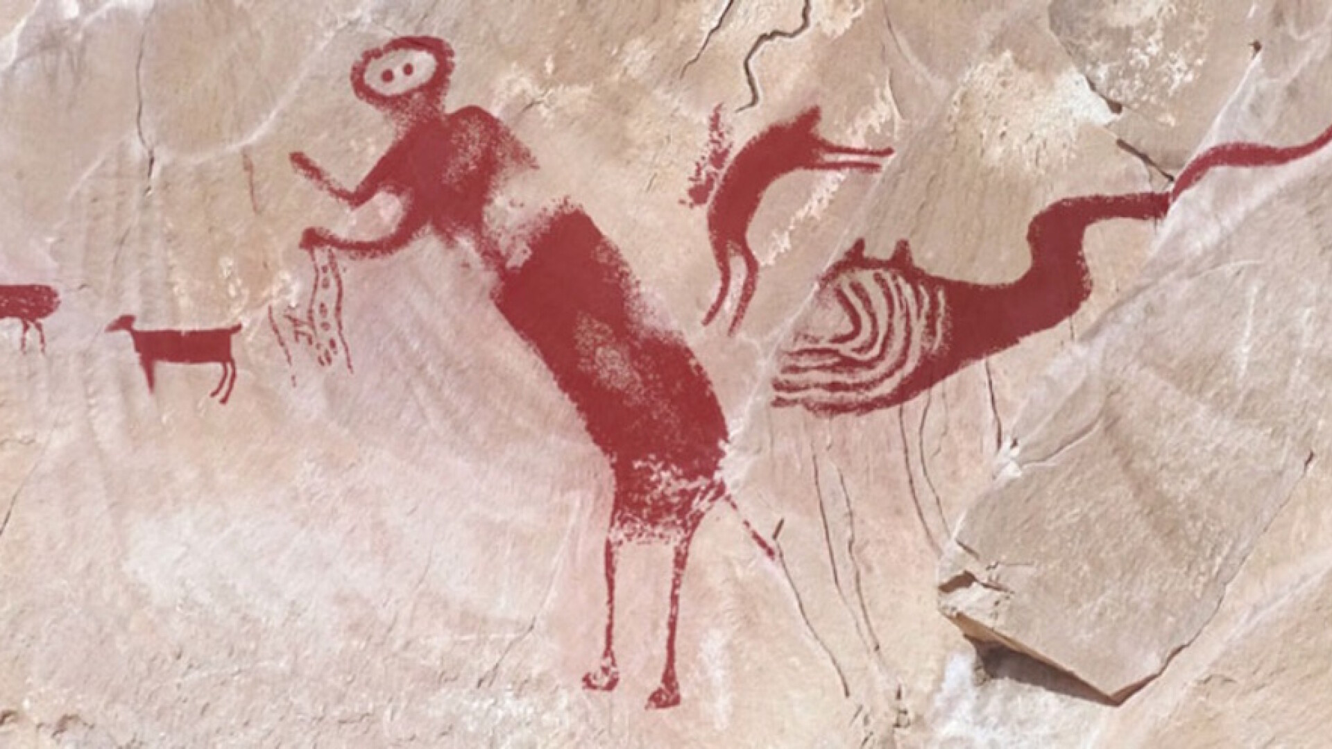 pictura rupestra pterodactil dupa analiza