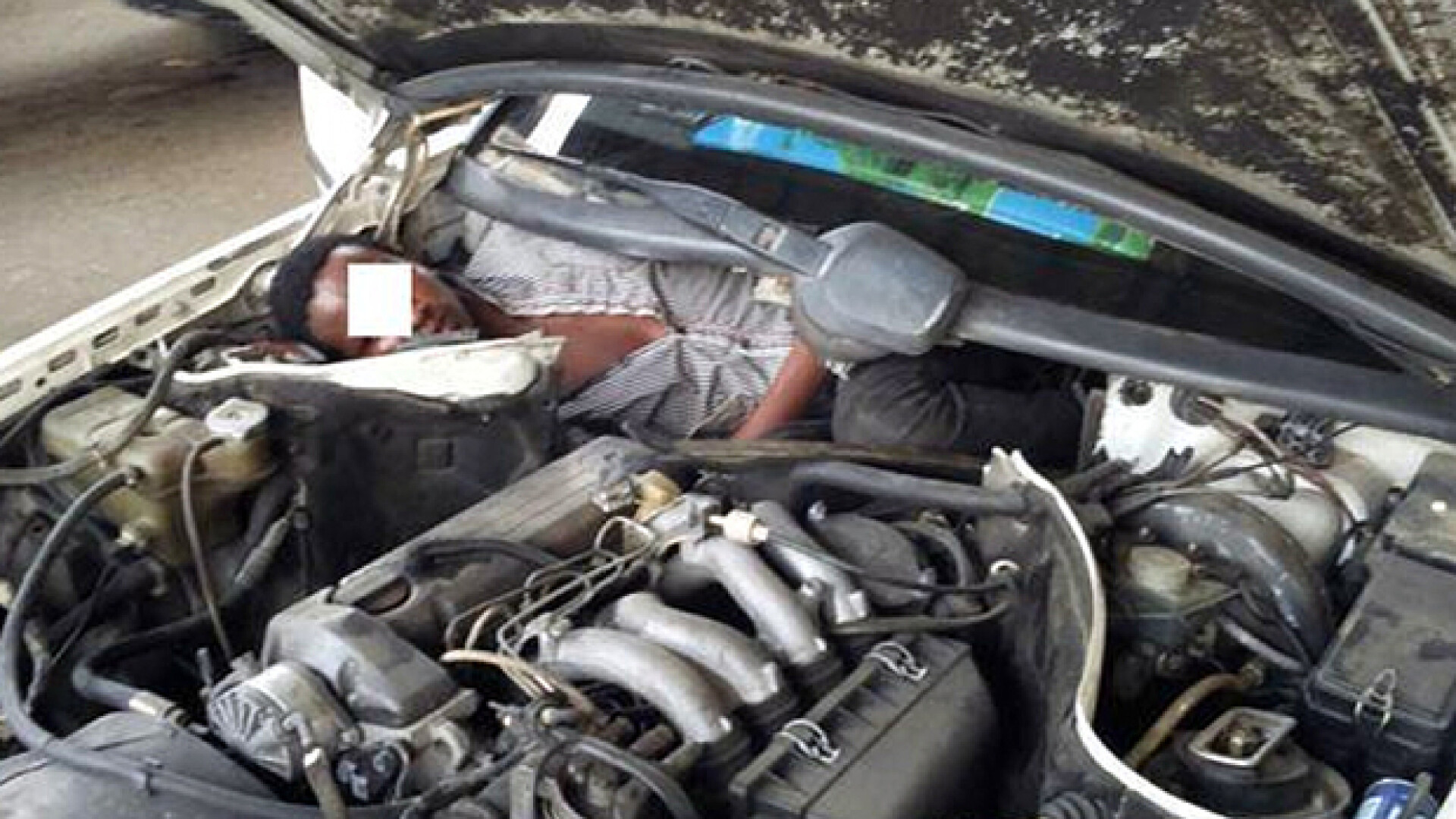 Imaginea disperarii. Un imigrant, descoperit ghemuit sub capota masinii, langa motor. Si-a riscat viata sa ajunga in Spania