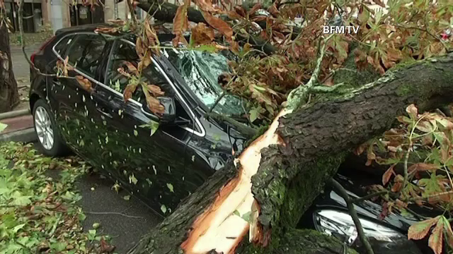 O furtuna a smuls acoperisuri si a doborat copaci, in Franta. Vantul a batut si cu 230 km pe ora: "A fost apocaliptic"