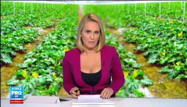 Cercetatorii din Buzau au creat pepenele galben de o persoana si vinetele cat oul de gaina. Cand vor ajunge in piete