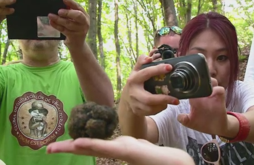 Comorile ascunse din padurile Romaniei. Cum a ajuns un neamt sa caute trufe in Valea Cundului din judetul Mures