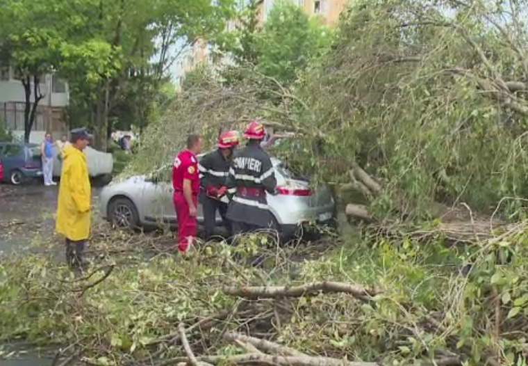 Prapad in Pitesti, dupa o furtuna de cateva minute. Sase masini au fost avariate de un copac prabusit