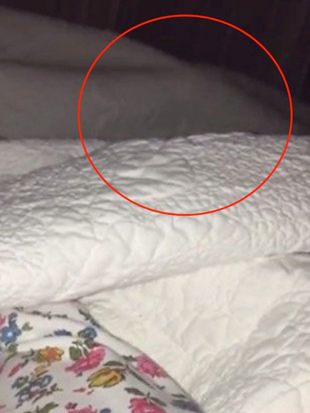 S-a speriat atat de tare, a fugit si nu s-a mai intors in casa. Detaliul ingrozitor pe care l-a filmat acest barbat