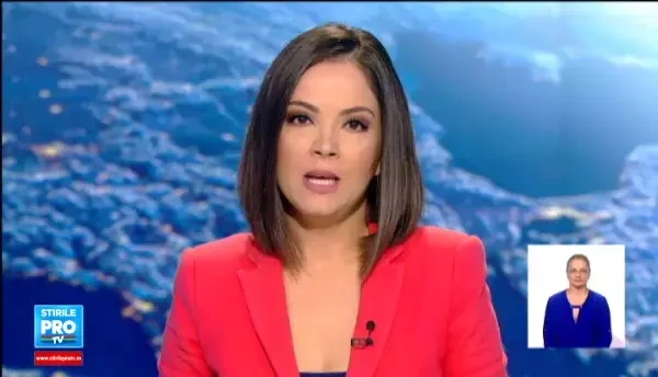 Scandal cu focuri de arma si urmariri, la Arad. Motivul aberant pentru care doi barbati au impuscat cainii unor ciobani