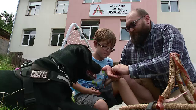 Beneficiile terapei cu animale pentru copiii cu diverse afectiuni. Cum le imbunatateste starea o astfel de sedinta