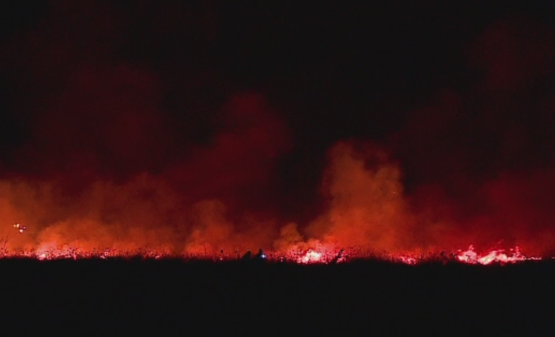 Incendiu violent langa plaja de la Vadu. Zeci de hectare de vegetatie si o pescarie au fost mistuite de flacari