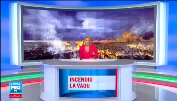 Incendiu violent langa plaja de la Vadu. Zeci de hectare de vegetatie si o pescarie au fost mistuite de flacari