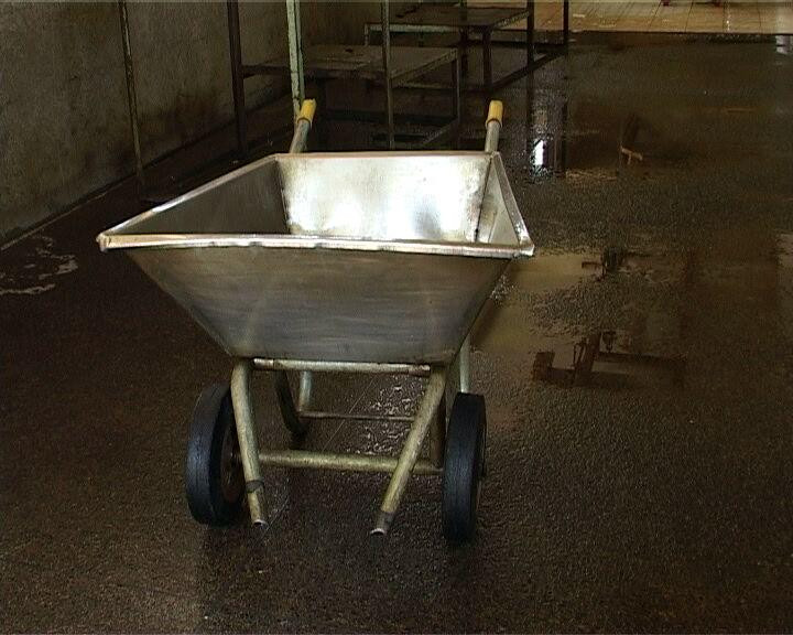 Roaba de 1.000 de dolari care a devenit simbolul coruptiei. Explicatia oficiala: "Nu e orice roaba, e din otel"