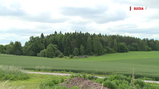 Viata vasluienilor care isi castiga existenta la taiat lemne in zonele izolate din Scandinavia. Ce salariu lunar primesc