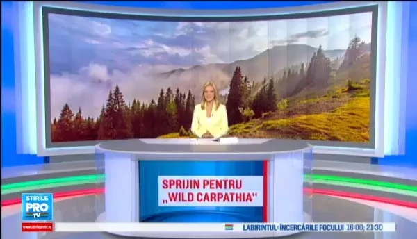 Documentarul Wild Carpathia 4, in pericol de a nu mai fi realizat. Cat costa cea mai buna promovare a Romaniei peste hotare