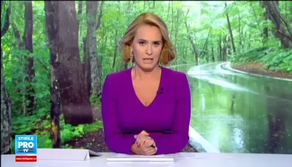 ANIMATIE GRAFICA. Nepasarea autoritatilor din Alba a curmat o viata. Un sofer a murit strivit de un copac